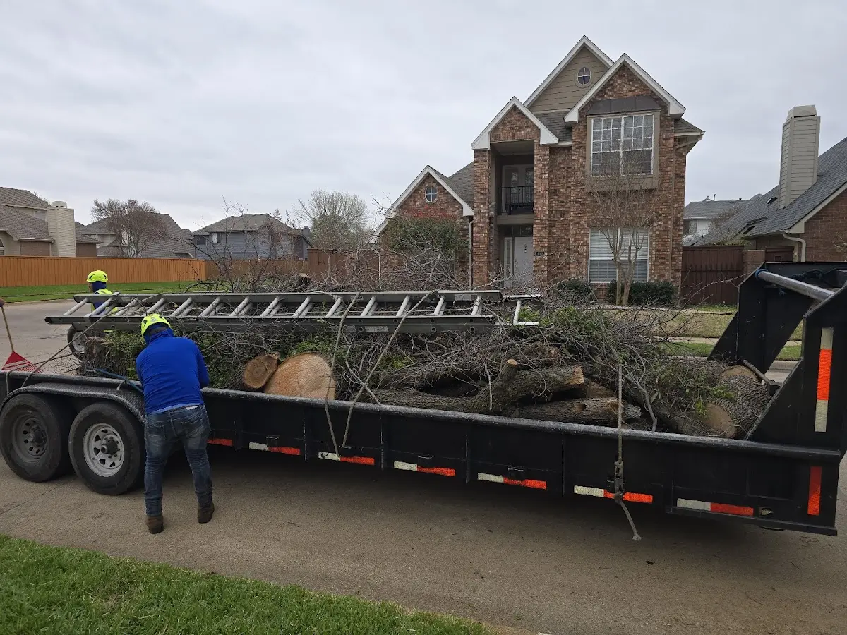 Expert Lot Clearing with proper safety equipment in Windsor